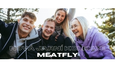 Spring meatfly collection