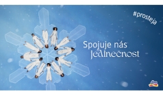 We are united by our uniqueness