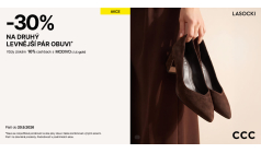 30% off the second pair of shoes